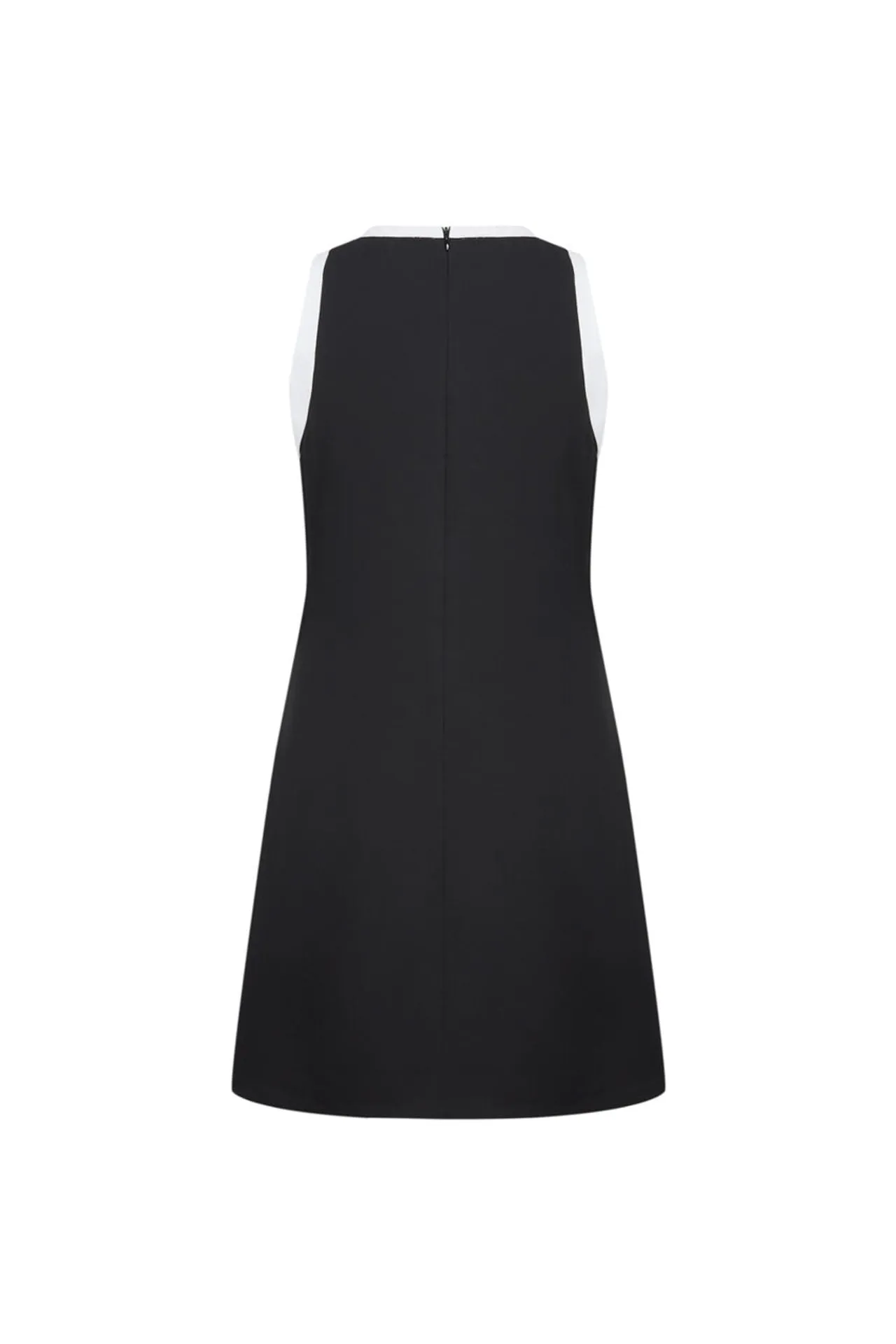 Colorblock Sleeveless Shift Dress