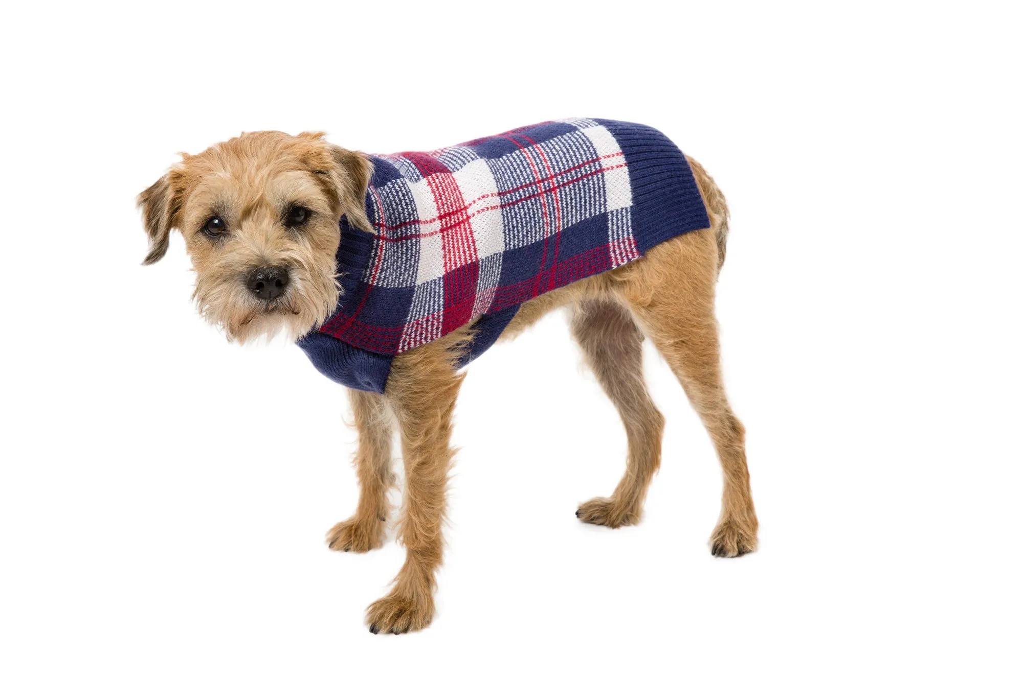 Wool - Blackcomb Plaid Dog Sweaters