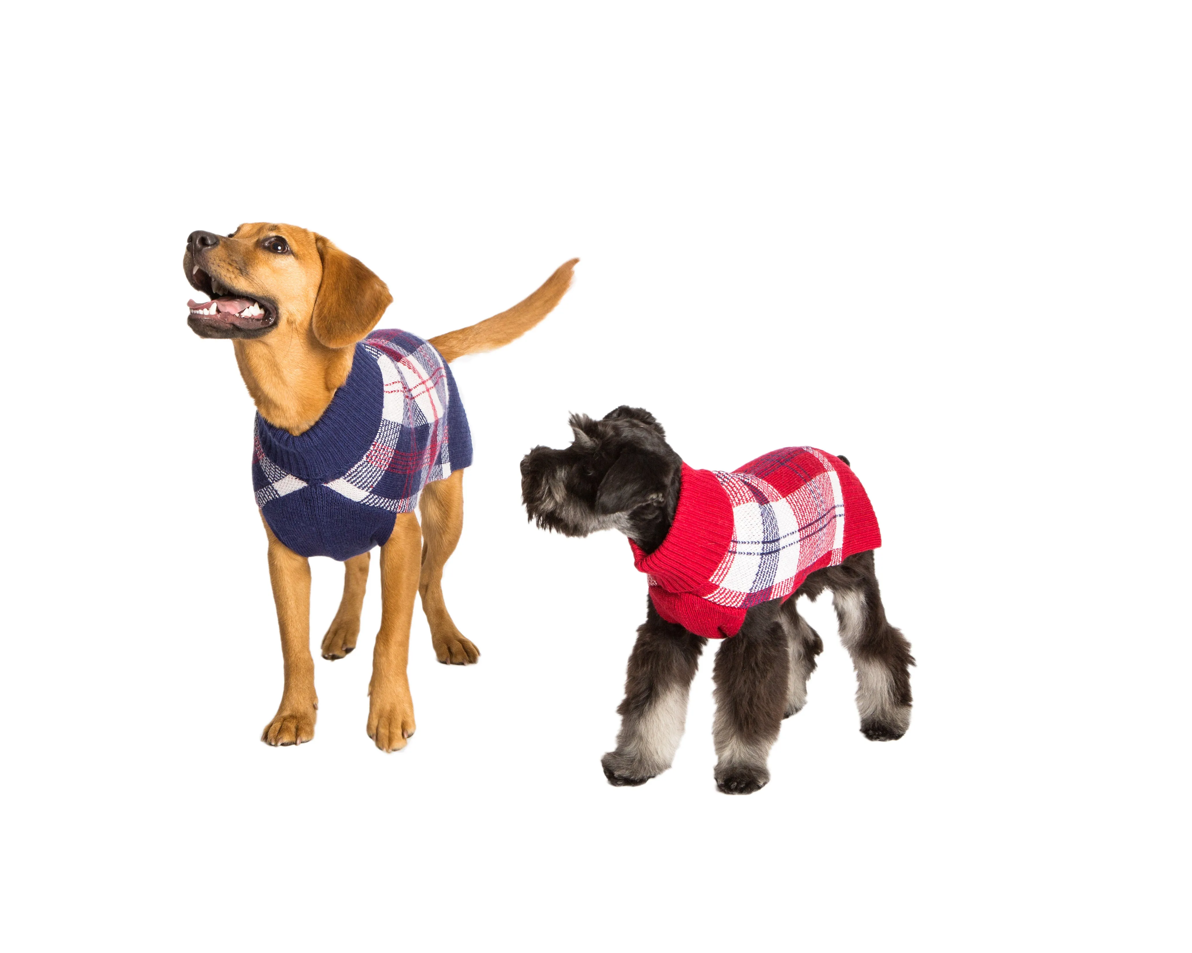 Wool - Blackcomb Plaid Dog Sweaters